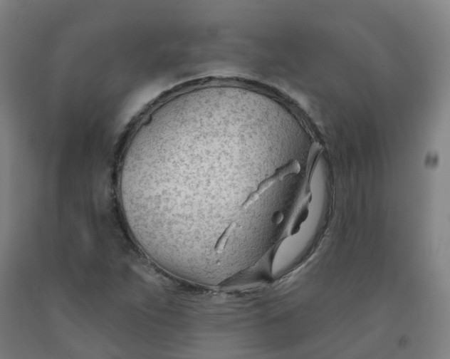 X0000091971263200709271400