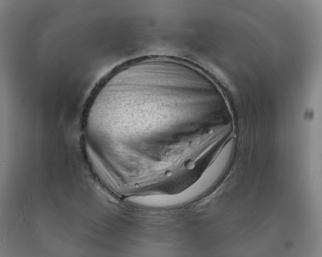 X0000091971264200709271400