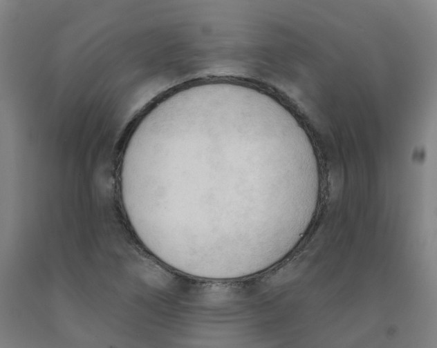 X0000091971266200709271400