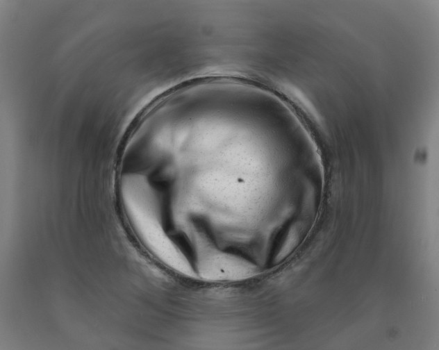 X0000091971268200709271400