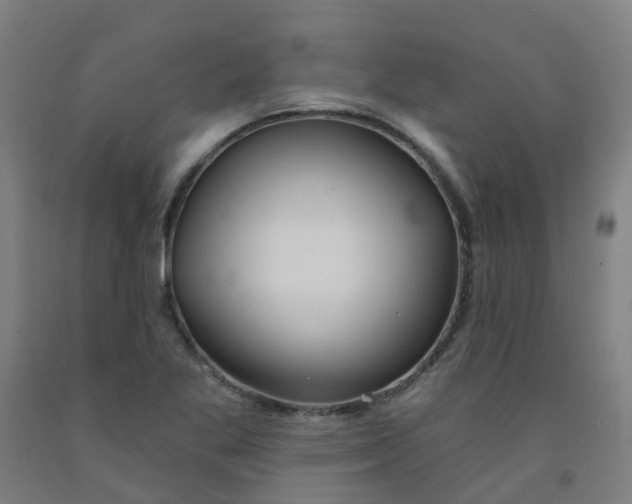 X0000091971269200709271400