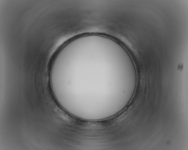 X0000091971270200709271400