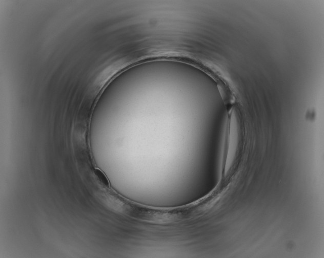 X0000091971273200709271400
