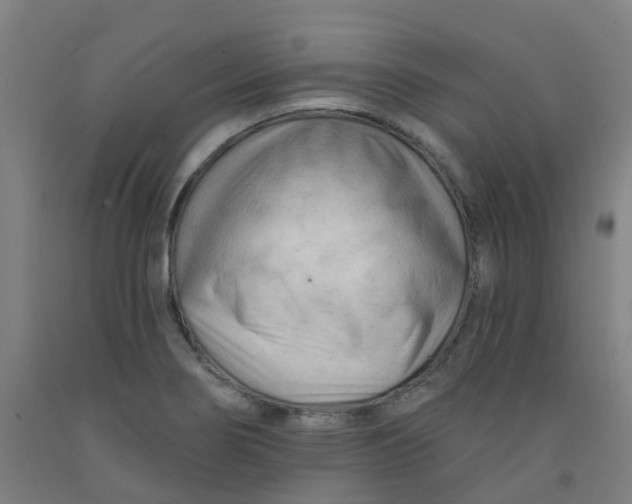 X0000091971274200709271400