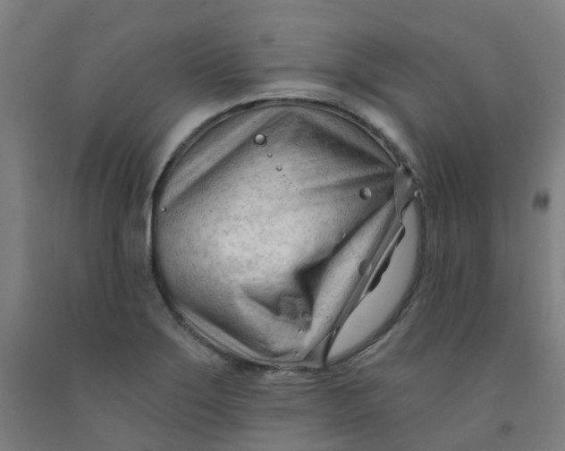 X0000091971275200709271400