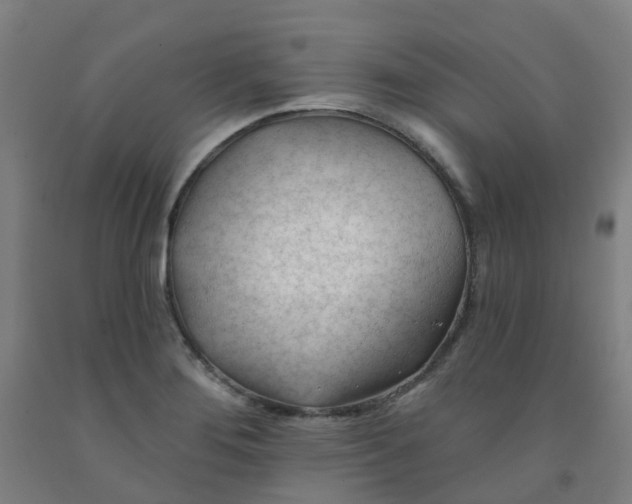 X0000091971276200709271400