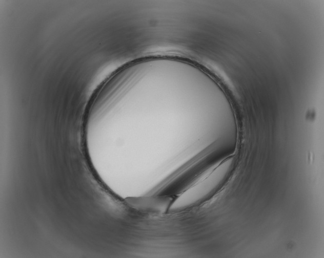 X0000091971277200709271400