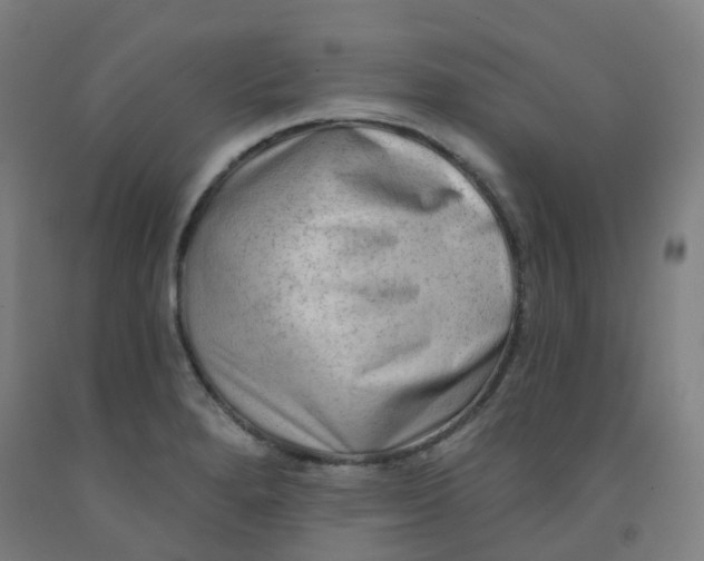 X0000091971280200709271400
