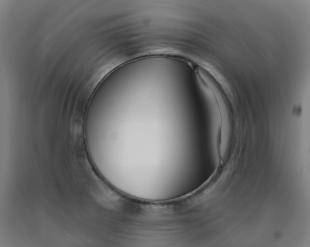 X0000091971281200709271400