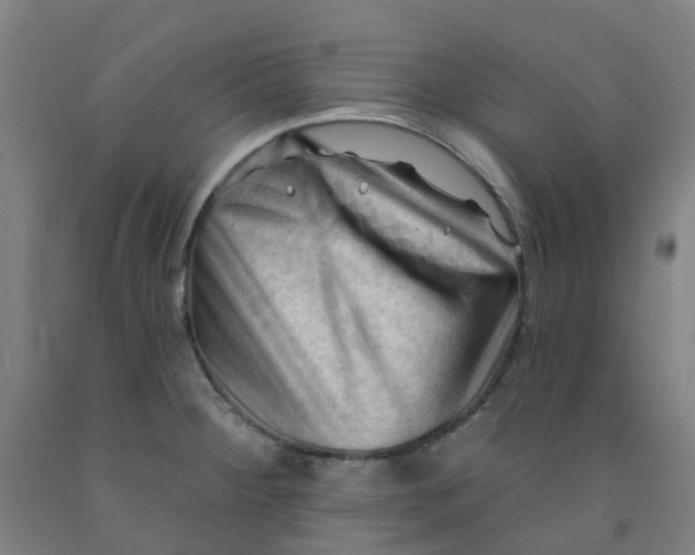 X0000091971284200709271400