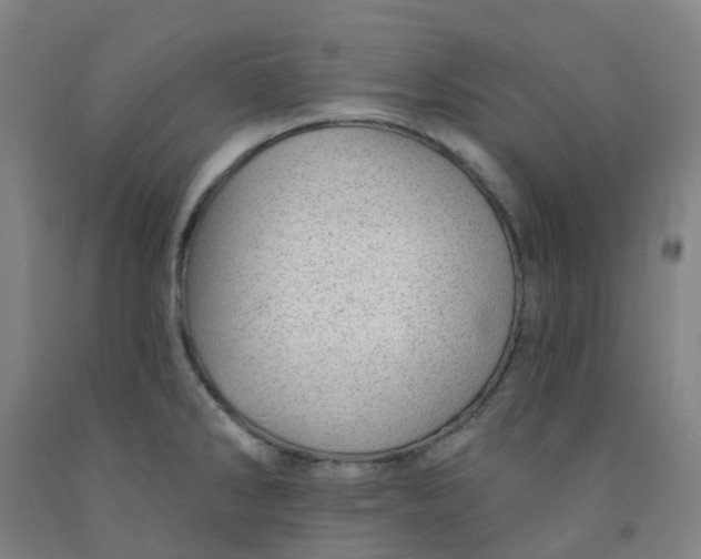 X0000091971286200709271400