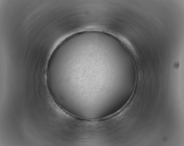 X0000091971288200709271400