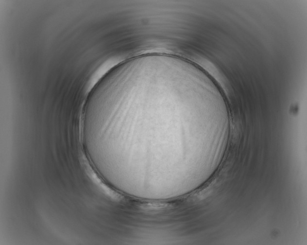 X0000091971290200709271400