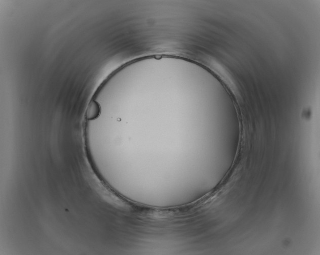 X0000091971291200709271400