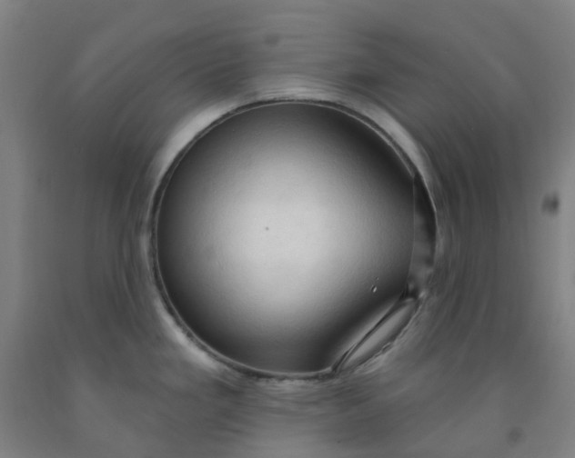 X0000091971293200709271400