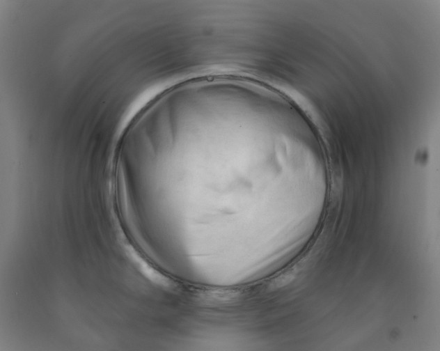 X0000091971294200709271400