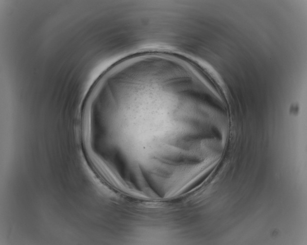 X0000091971295200709271400