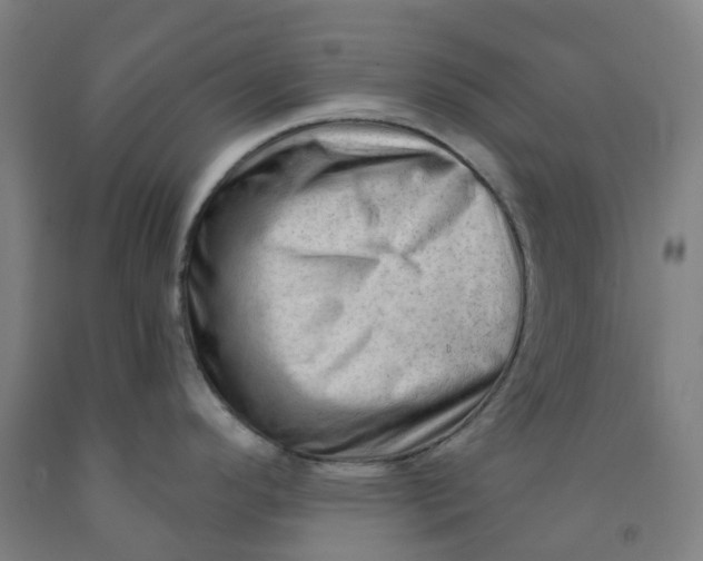 X0000091971296200709271400