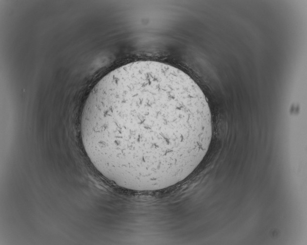 X0000091971297200709271359