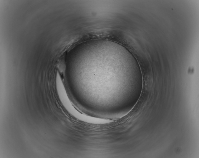 X0000091971298200709271359