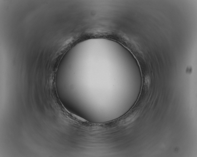 X0000091971300200709271359