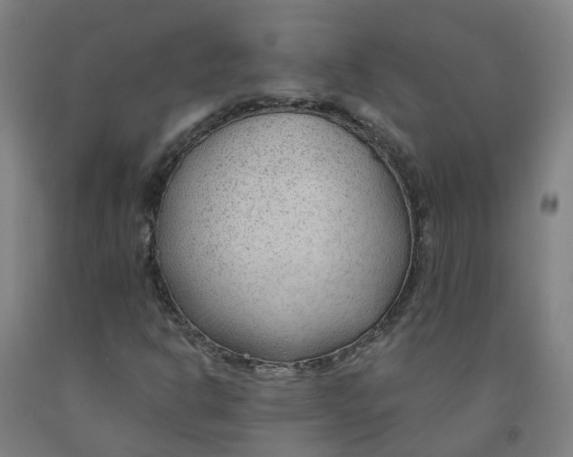 X0000091971302200709271359
