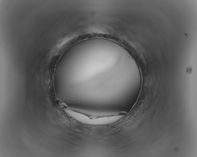 X0000091971303200709271359