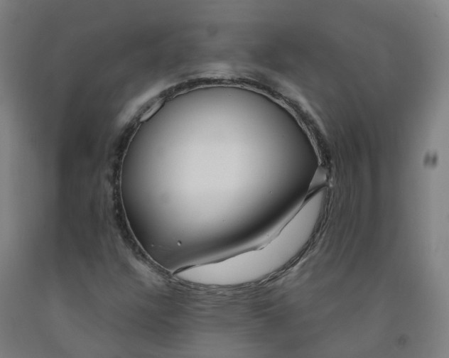 X0000091971304200709271359