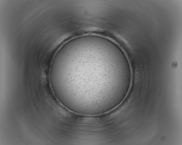 X0000091971305200709271359