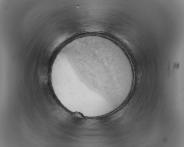 X0000091971306200709271359
