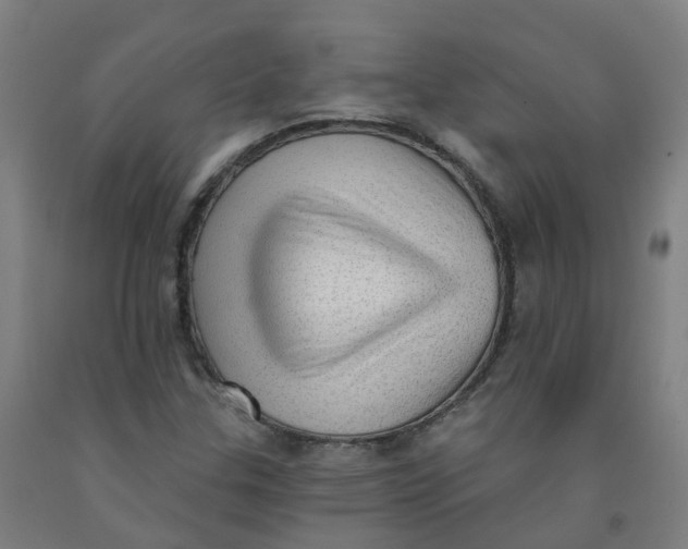 X0000091971307200709271359