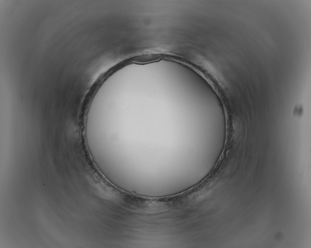 X0000091971308200709271359