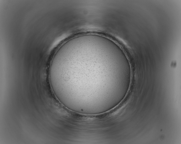 X0000091971309200709271359
