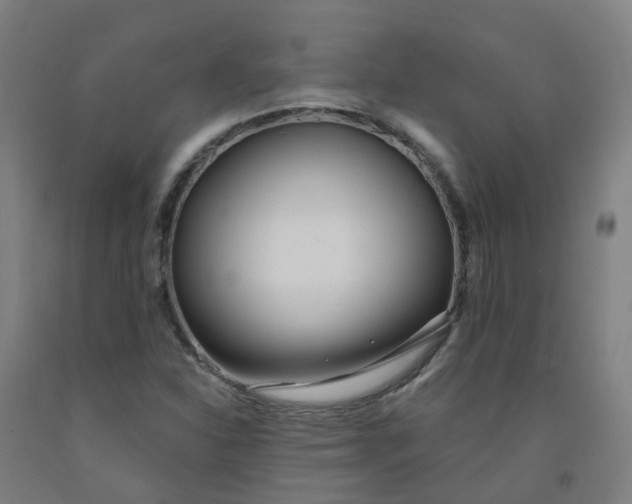 X0000091971310200709271359