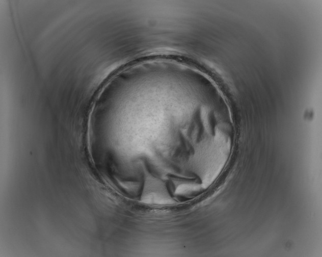 X0000091971313200709271359