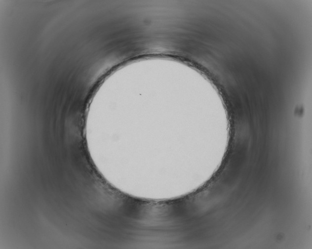 X0000091971314200709271359