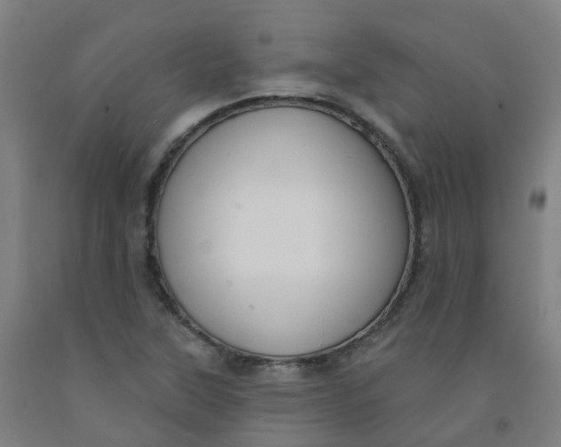 X0000091971315200709271359