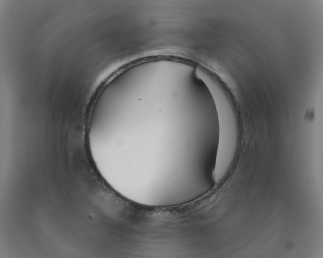 X0000091971316200709271359