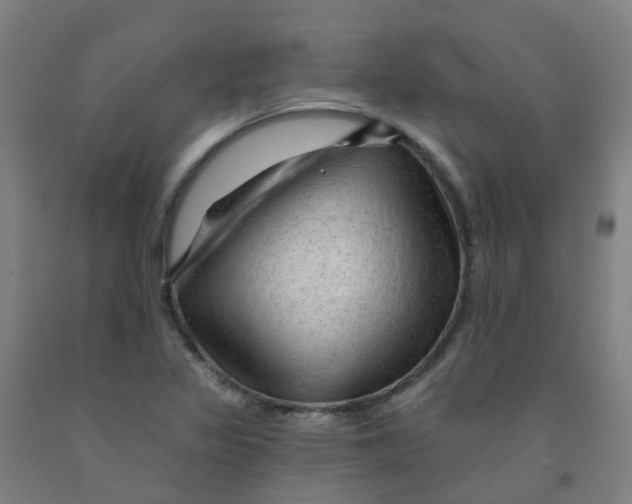 X0000091971317200709271359