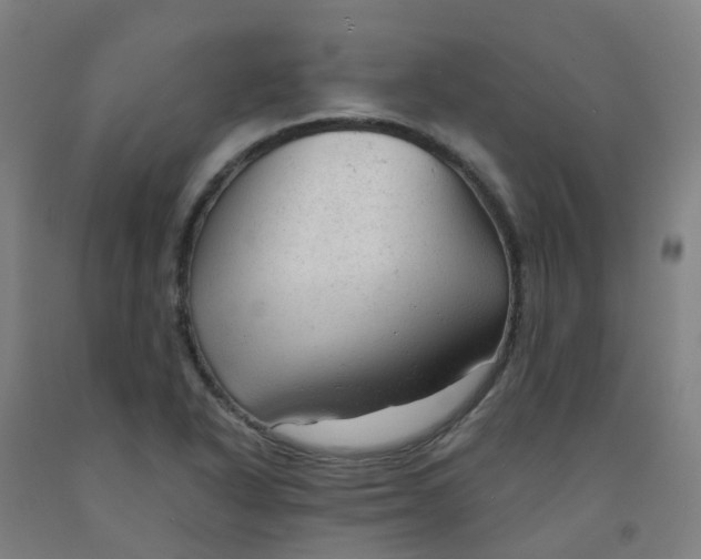 X0000091971318200709271359