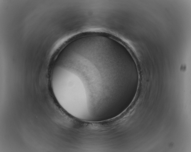 X0000091971319200709271359