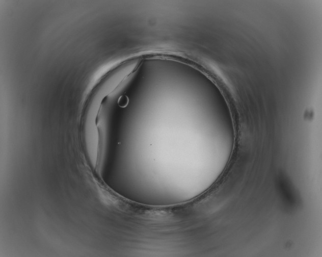 X0000091971320200709271359
