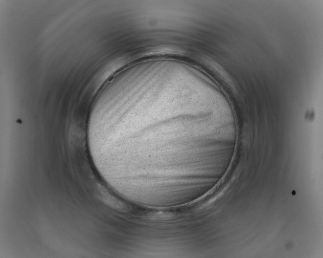 X0000091971321200709271359