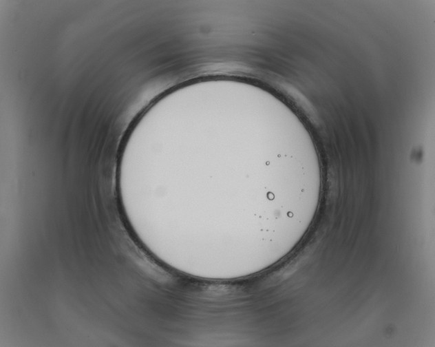X0000091971322200709271359