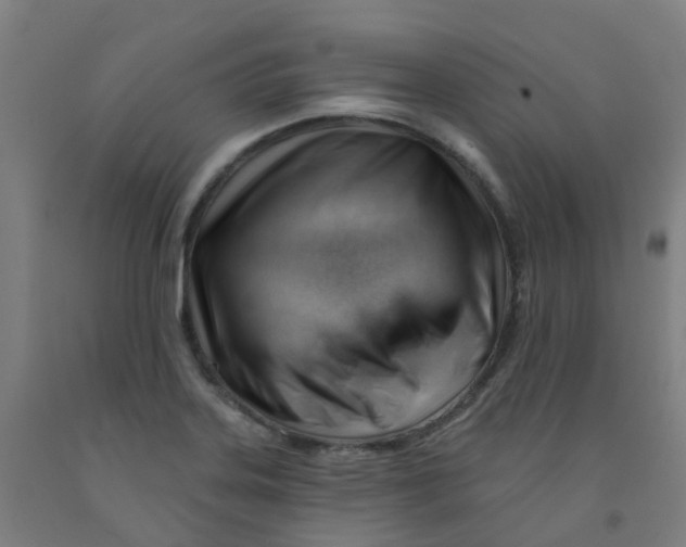 X0000091971323200709271359
