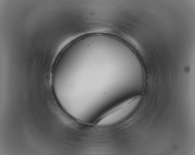 X0000091971324200709271359