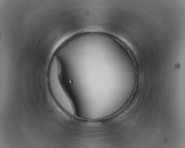 X0000091971325200709271359