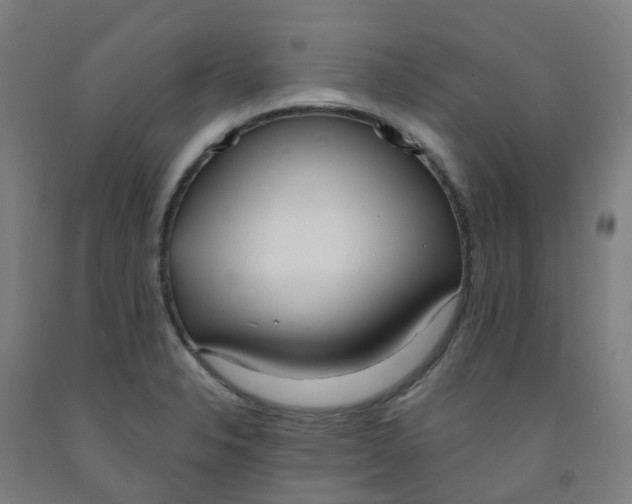 X0000091971326200709271359