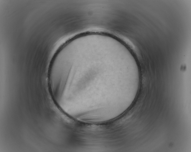 X0000091971327200709271359