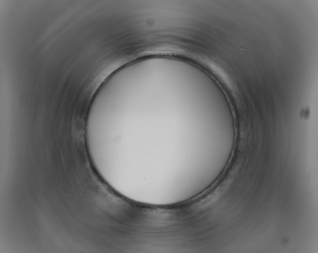 X0000091971329200709271359
